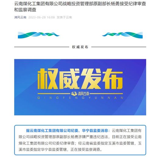 云南煤化工集團(tuán)戰(zhàn)略投資管理部原副部長楊勇被查
