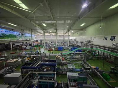 華山腳下，品質(zhì)牛奶的綠色傳奇 從生態(tài)牧場(chǎng)到‘華山之巔’的匠心之旅